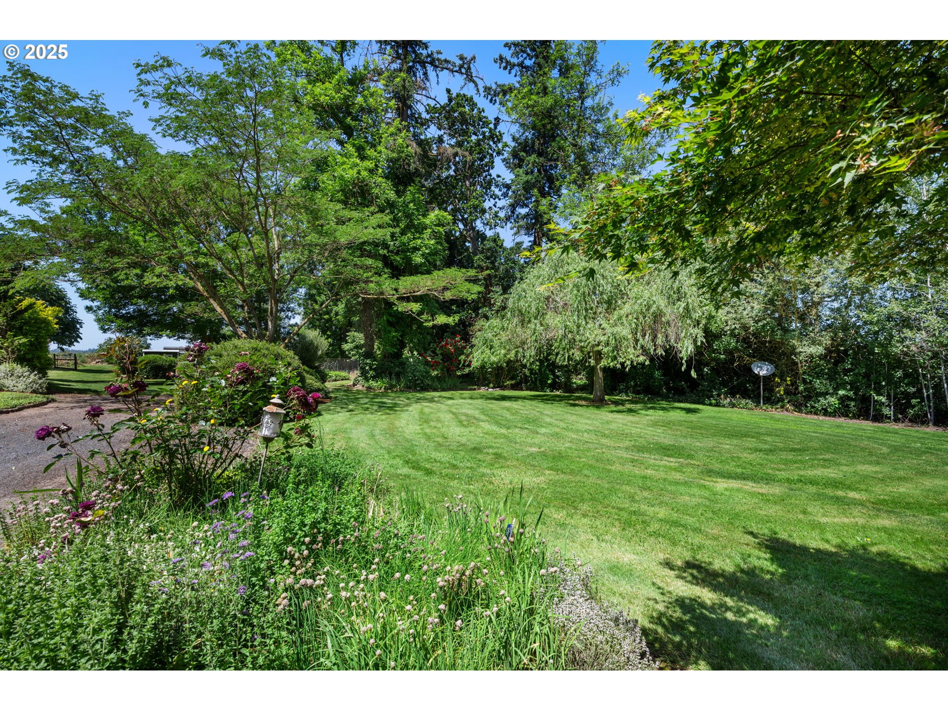 31255 South Kauffman Road Canby, OR 97013 - Photo 28 of 48 a view of a lush green space