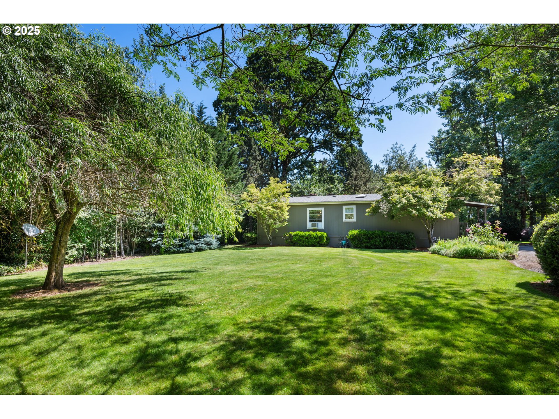 31255 South Kauffman Road Canby, OR 97013 - Photo 30 of 48 a view of a trees with a big yard