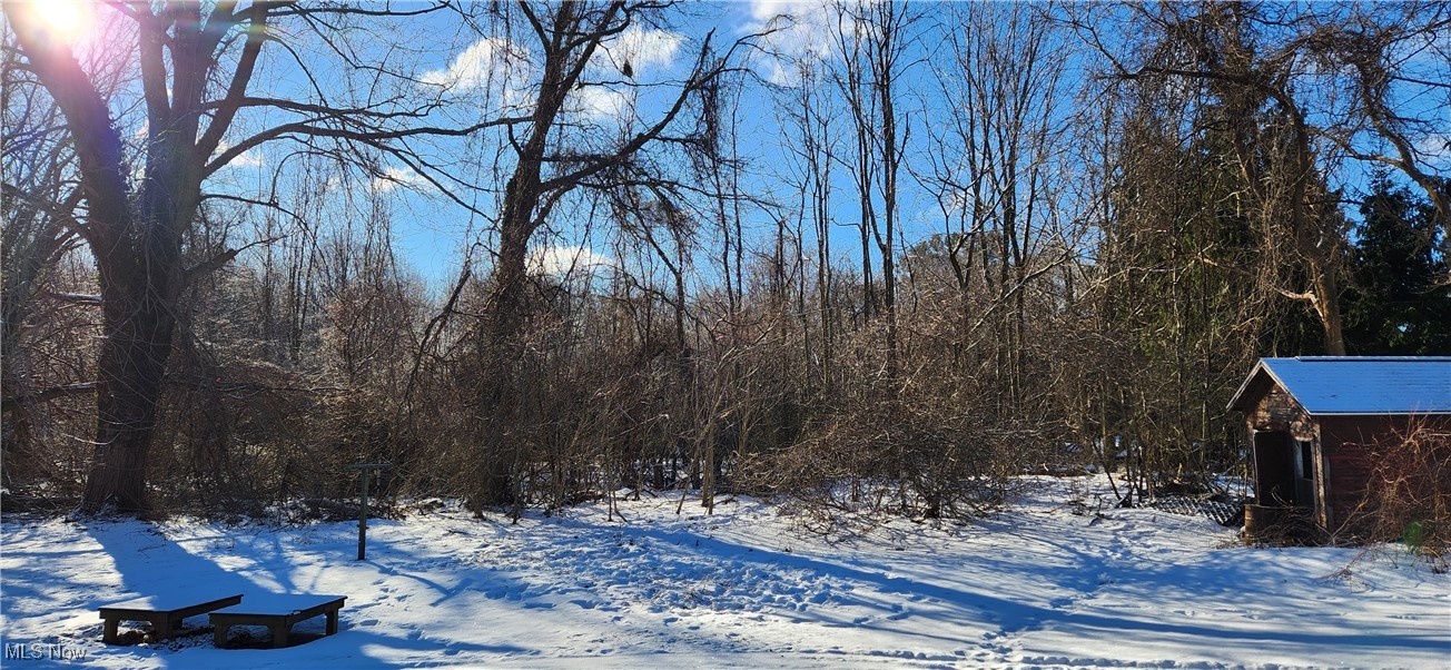 5258 Lockwood Road Madison, OH 44057 - Photo 38 of 39 4 acres
