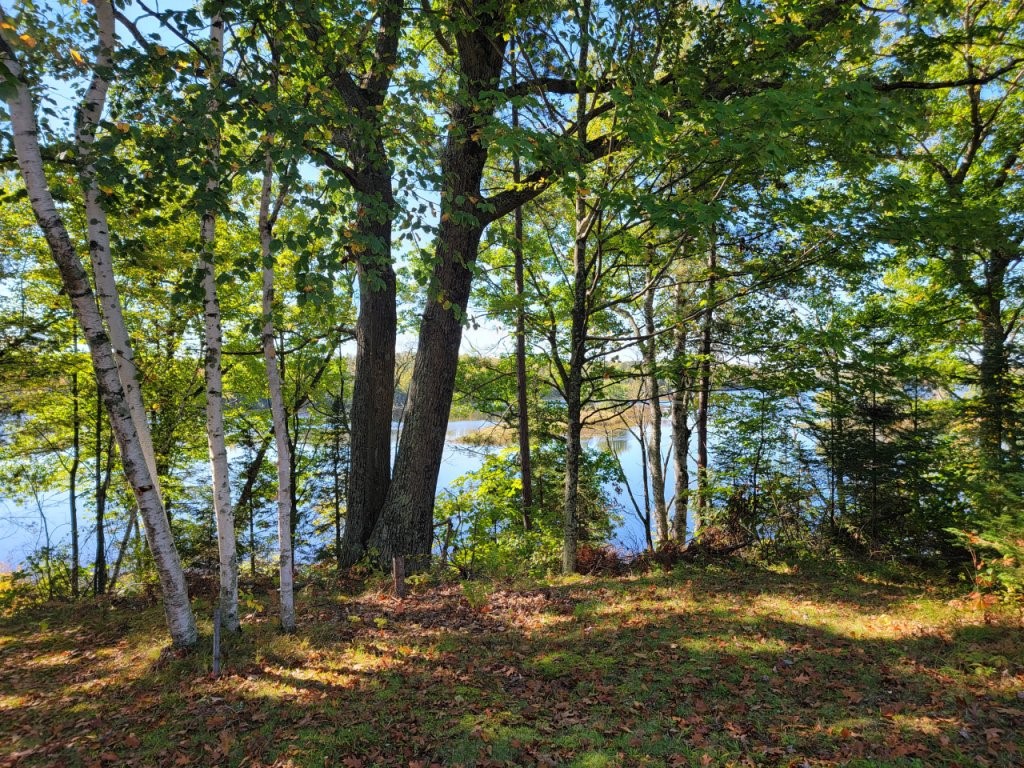 6733 W Golf Course Road Winter, WI 54896 - Photo 5 of 51