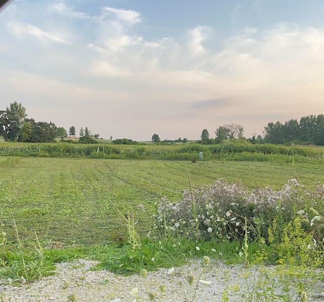 W2525 Woodland Road Iron Ridge, WI 53035 - Photo 1 of 4 Photo of lot before work began