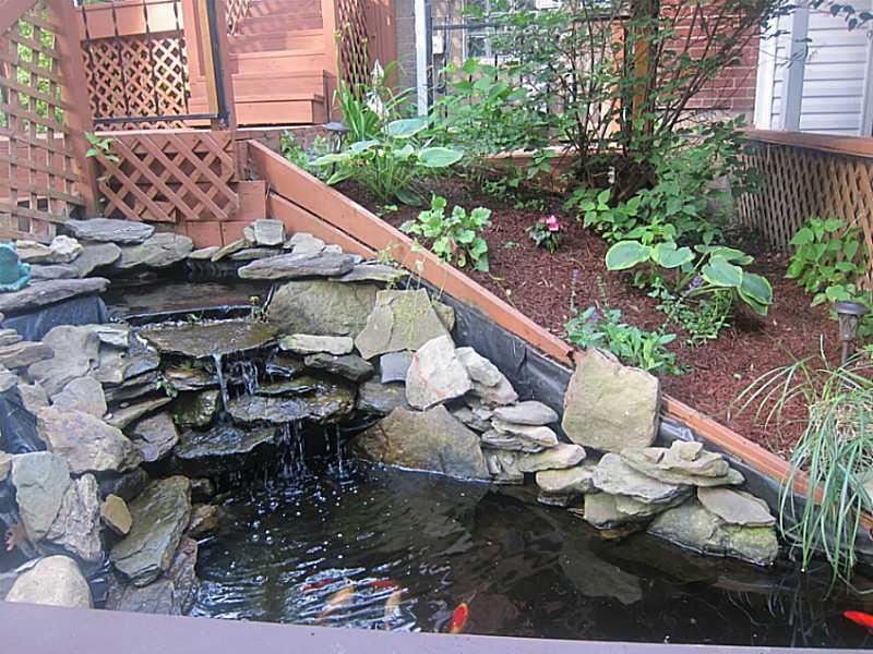 351 Siebert Road Pittsburgh, PA 15237 - Photo 4 of 25 Yard/Garden. BEAUTIFUL KOI POND