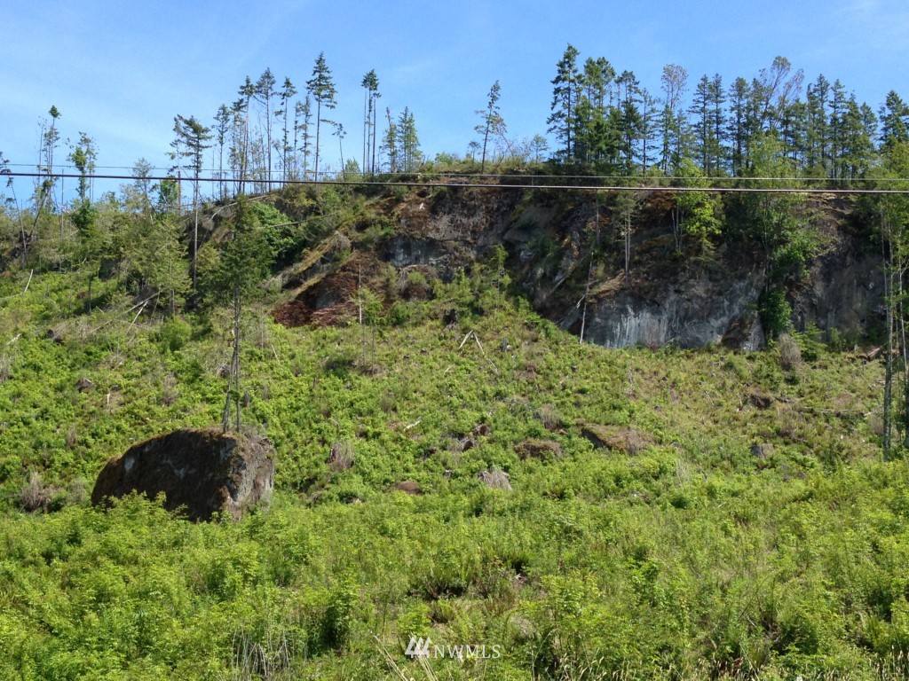 0 Eaglemount Road Port Townsend, WA 98368 - Photo 1 of 1 Gallery Image 1