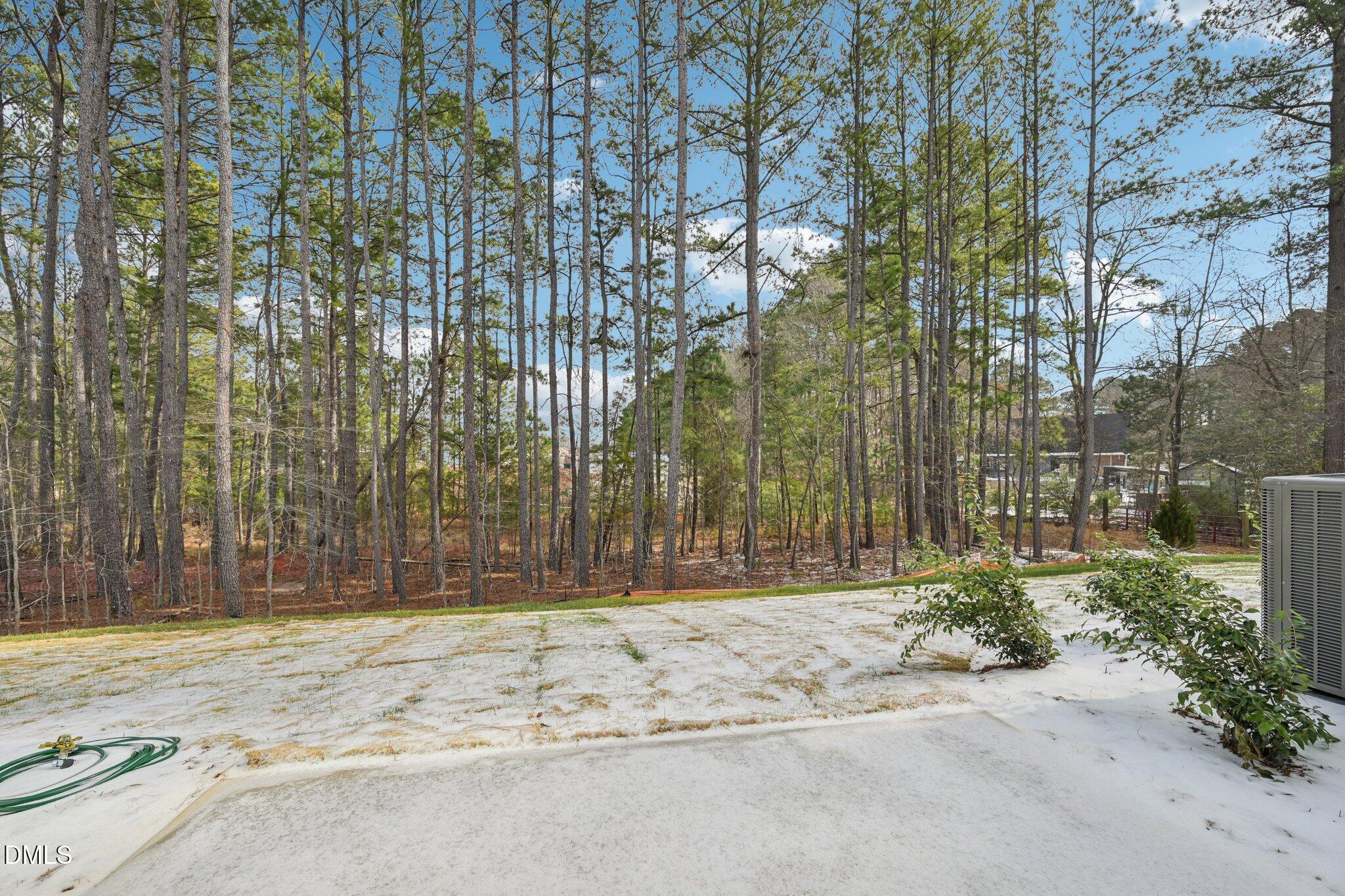 10904 Bayflower Way Raleigh, NC 27617 - Photo 32 of 41 50-web-or-mls-Bayflower Wy-S3101-050