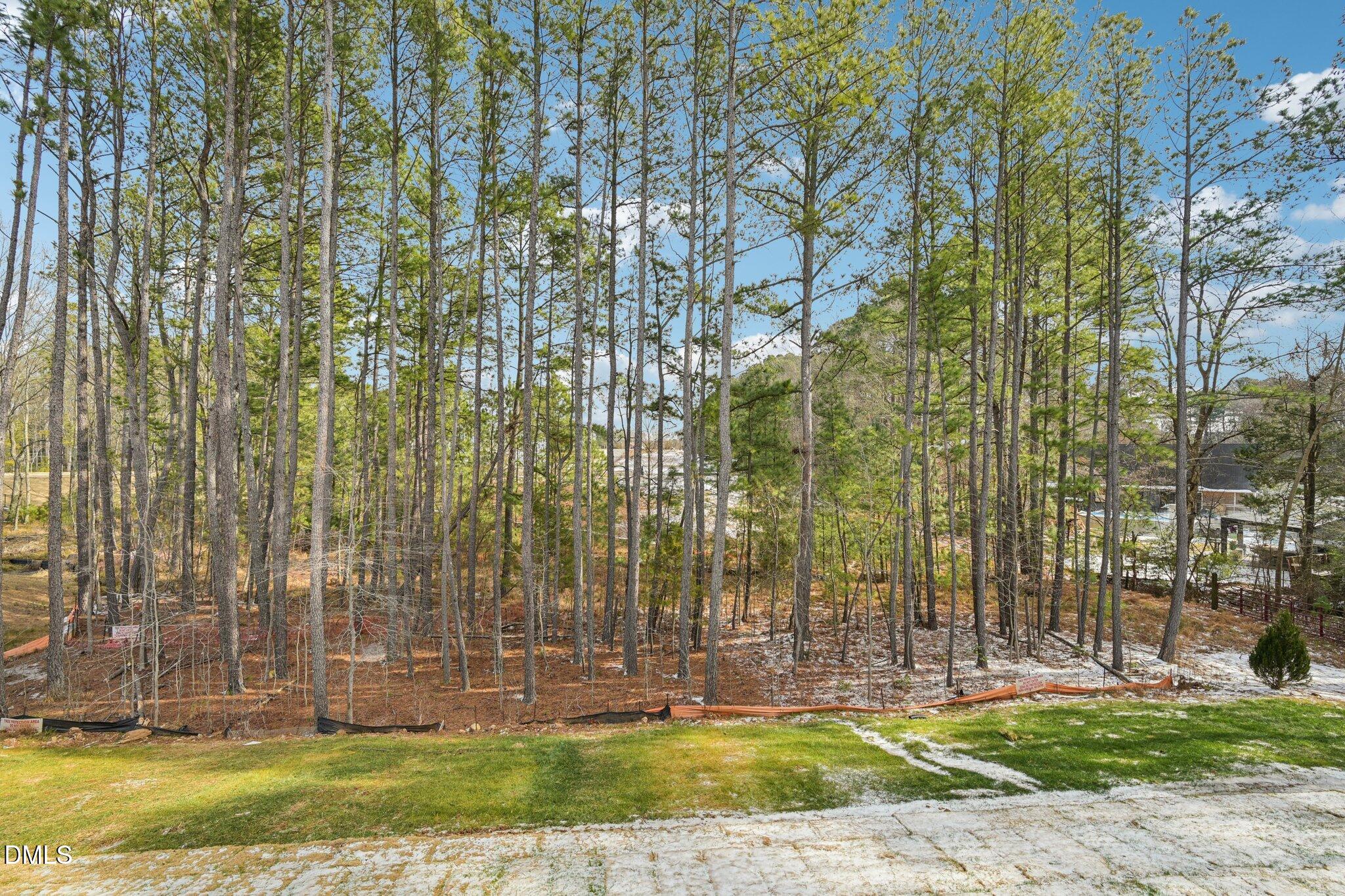 10904 Bayflower Way Raleigh, NC 27617 - Photo 33 of 41 49-web-or-mls-Bayflower Wy-S3101-049