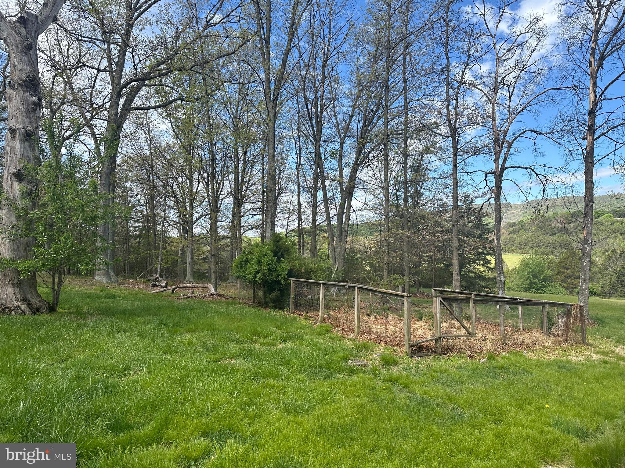 90 Shade Valley Road Rio, WV 26755 - Photo 27 of 41 a view of a backyard with a garden and trees