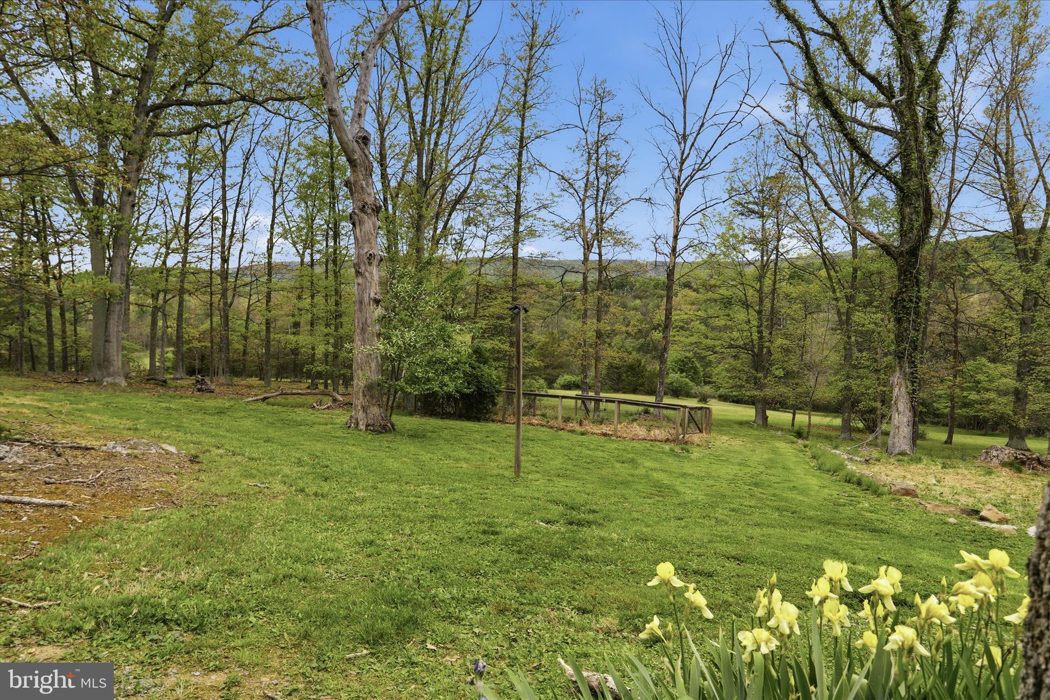 90 Shade Valley Road Rio, WV 26755 - Photo 34 of 41 a view of a park with large trees