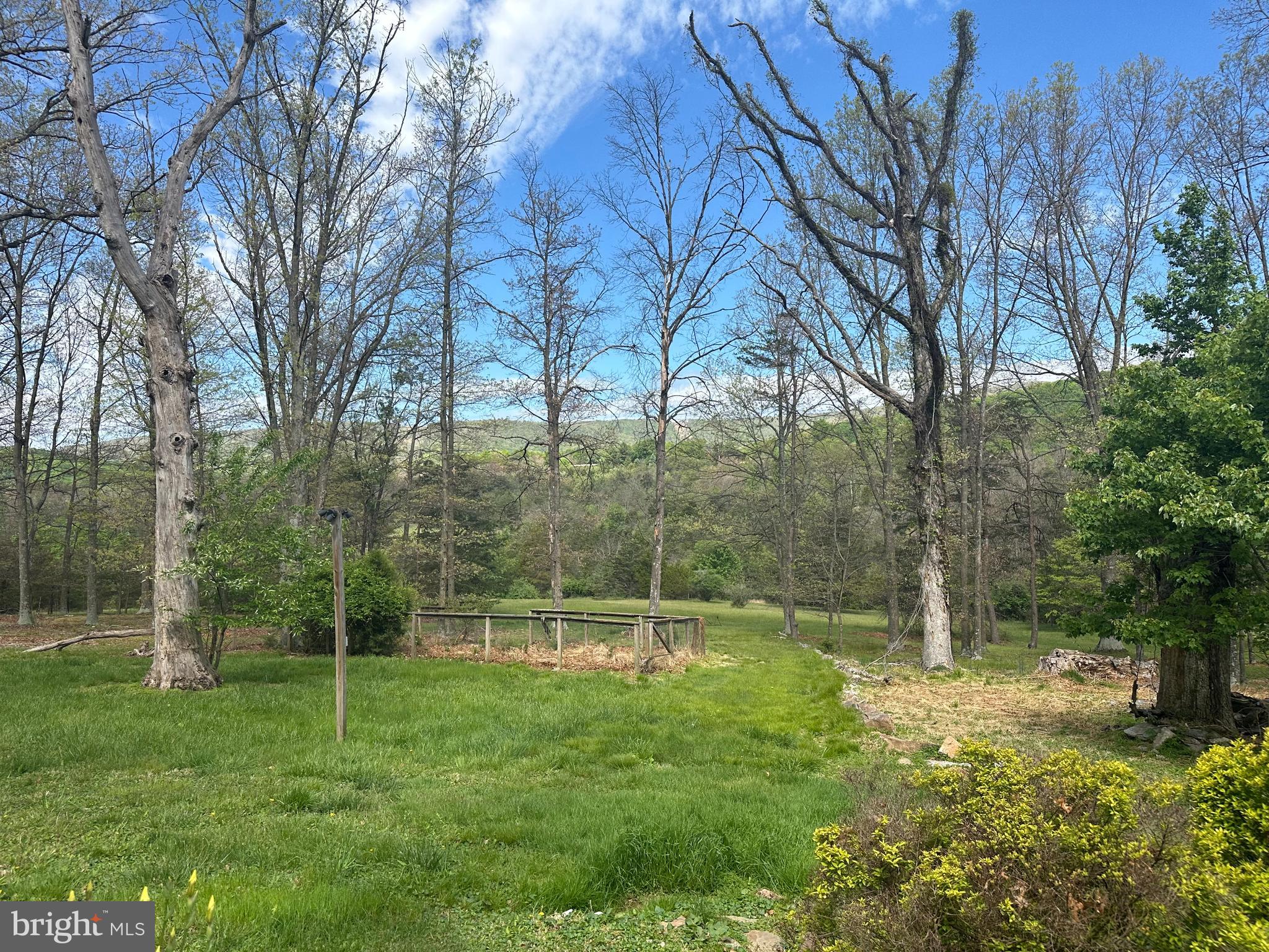 90 Shade Valley Road Rio, WV 26755 - Photo 35 of 41 a backyard of a house with lots of green space