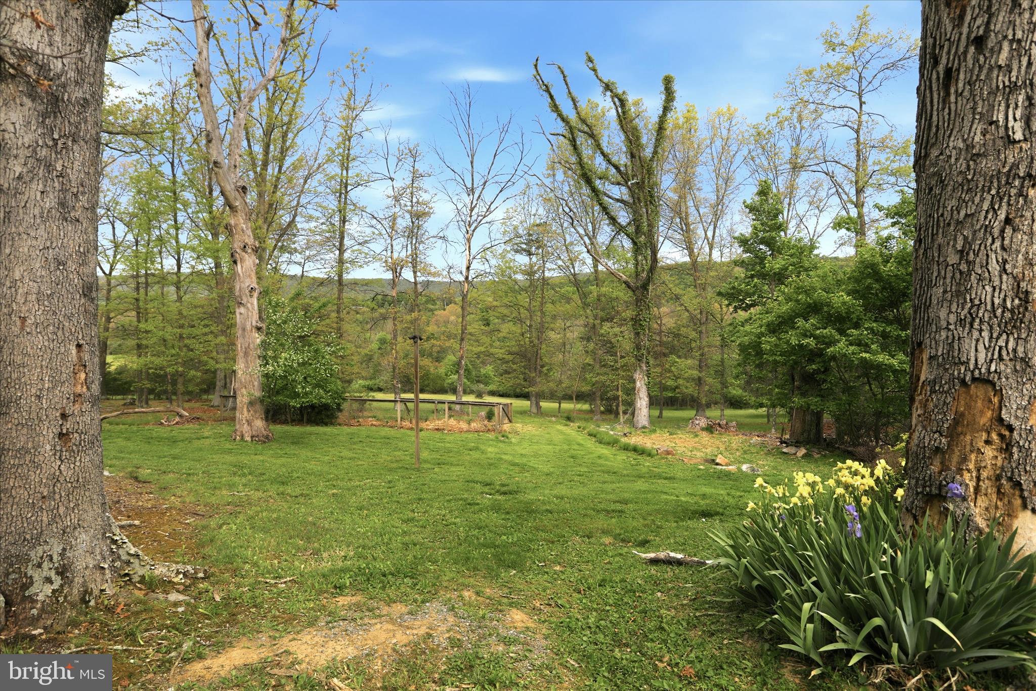 90 Shade Valley Road Rio, WV 26755 - Photo 37 of 41 a backyard of a house with lots of green space and fountain