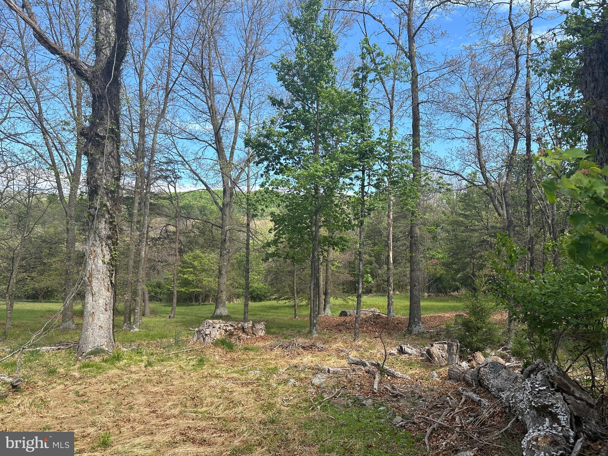 90 Shade Valley Road Rio, WV 26755 - Photo 38 of 41 a view of a yard with plants and trees