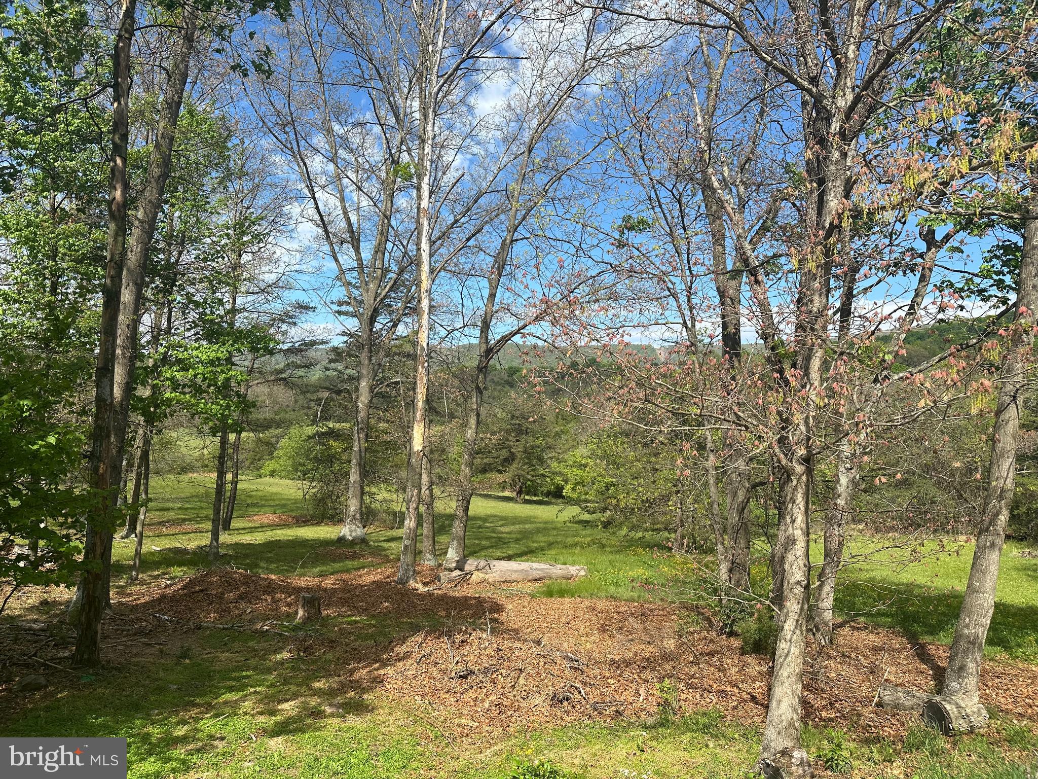 90 Shade Valley Road Rio, WV 26755 - Photo 40 of 41 a backyard of a house with lots of green space
