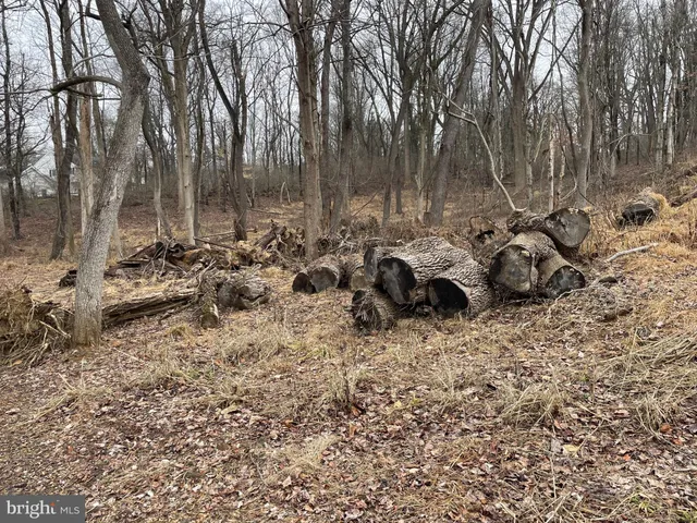 $165,000 | 223 Phillips Drive, Magnolia, DE 19962