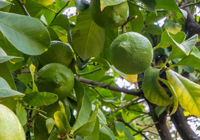 $739,950 | 918 Moonstone Court, Vacaville, CA 95687