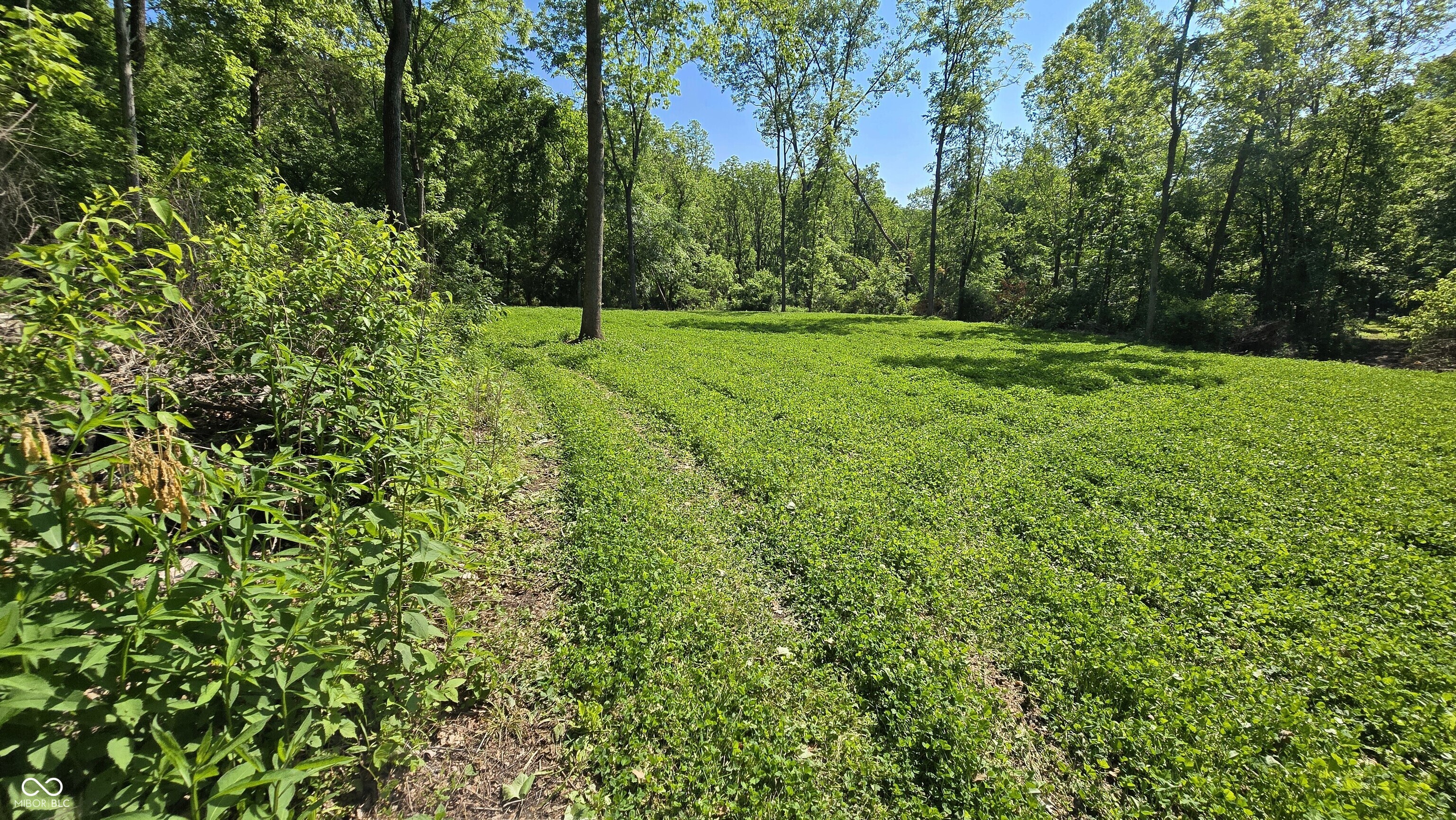 2933 Saluda Hl Road Hanover, IN 47243 - Photo 61 of 122