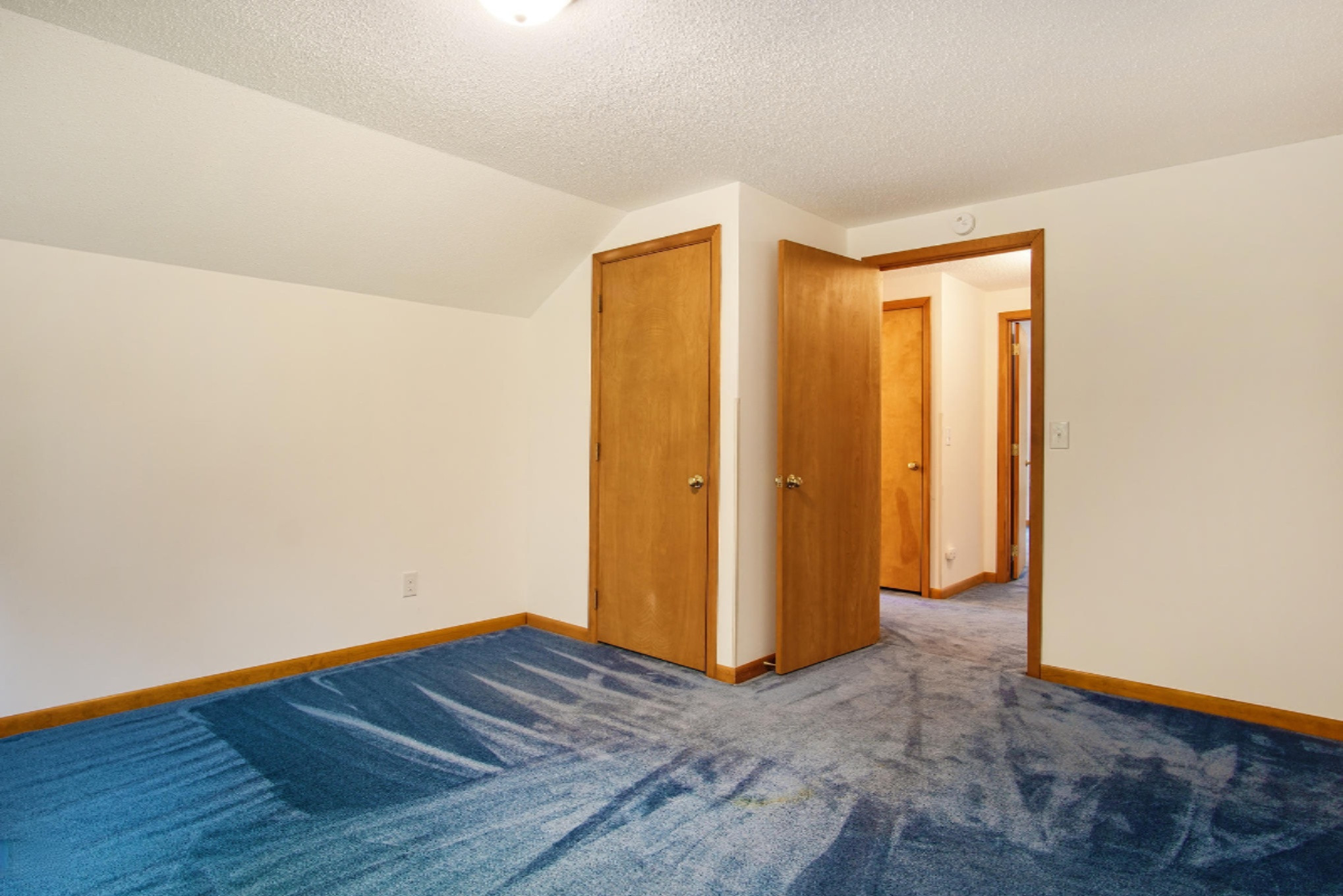 10210 Range Line Road Berrien Springs, MI 49103 - Photo 23 of 36 DSC00222