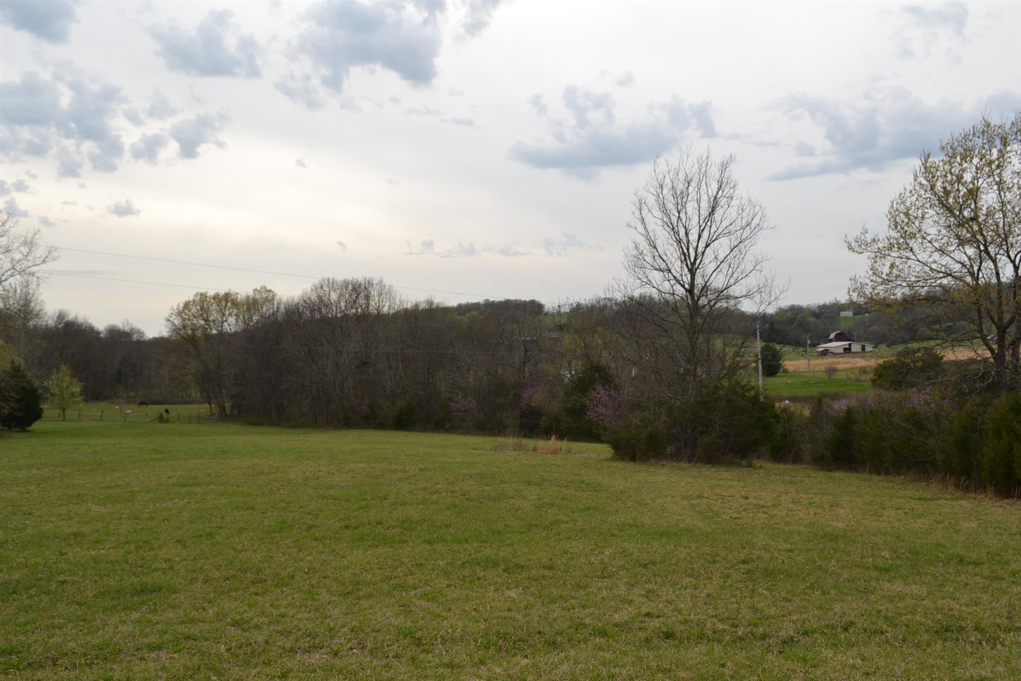 0 Beach Bottom Road Watertown, TN 37184 - Photo 1 of 4 a view of a river and mountains in the background