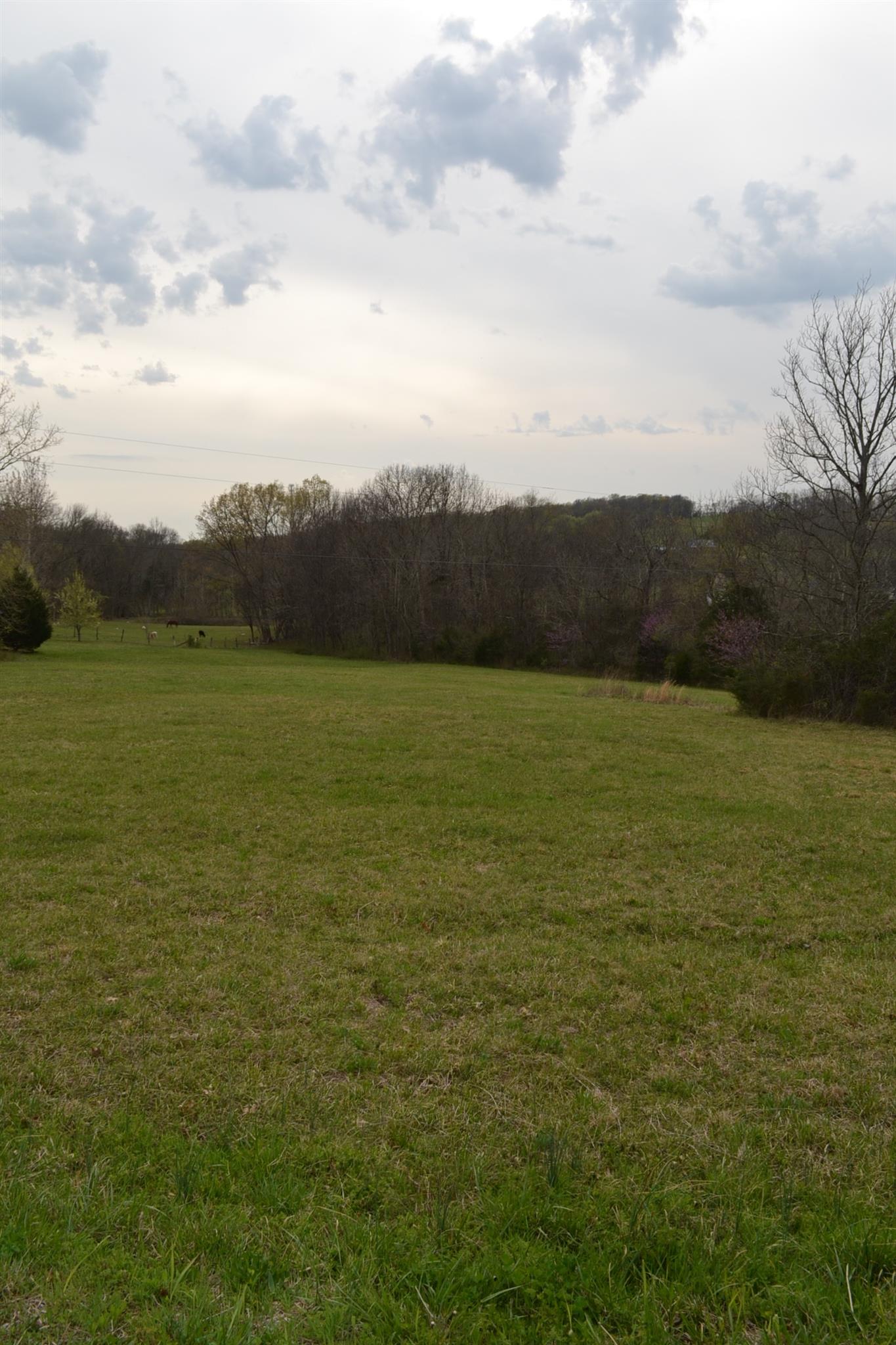 0 Beach Bottom Road Watertown, TN 37184 - Photo 2 of 4 a view of an ocean and mountain