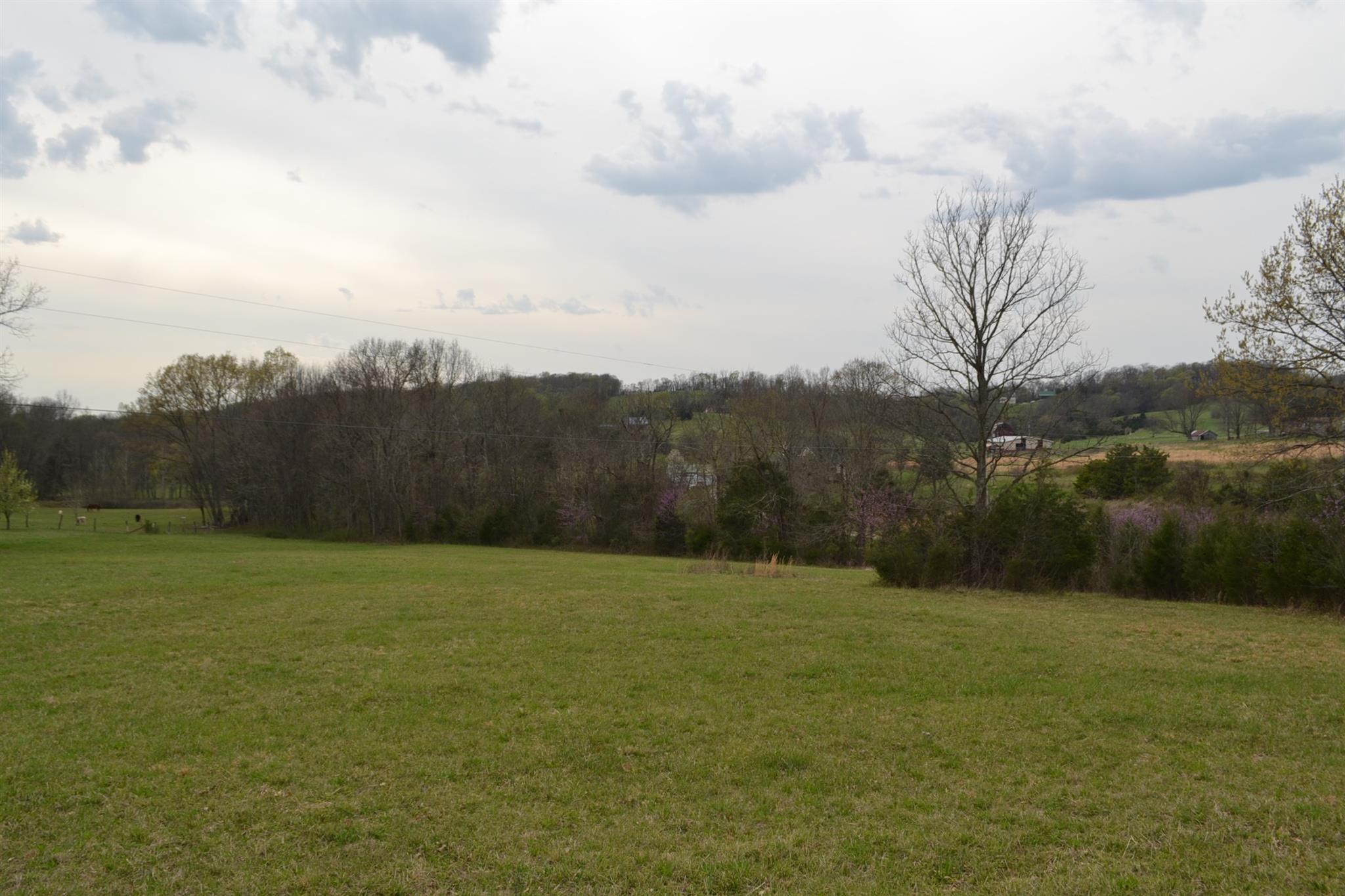 0 Beach Bottom Road Watertown, TN 37184 - Photo 3 of 4 a view of an outdoor space and a yard