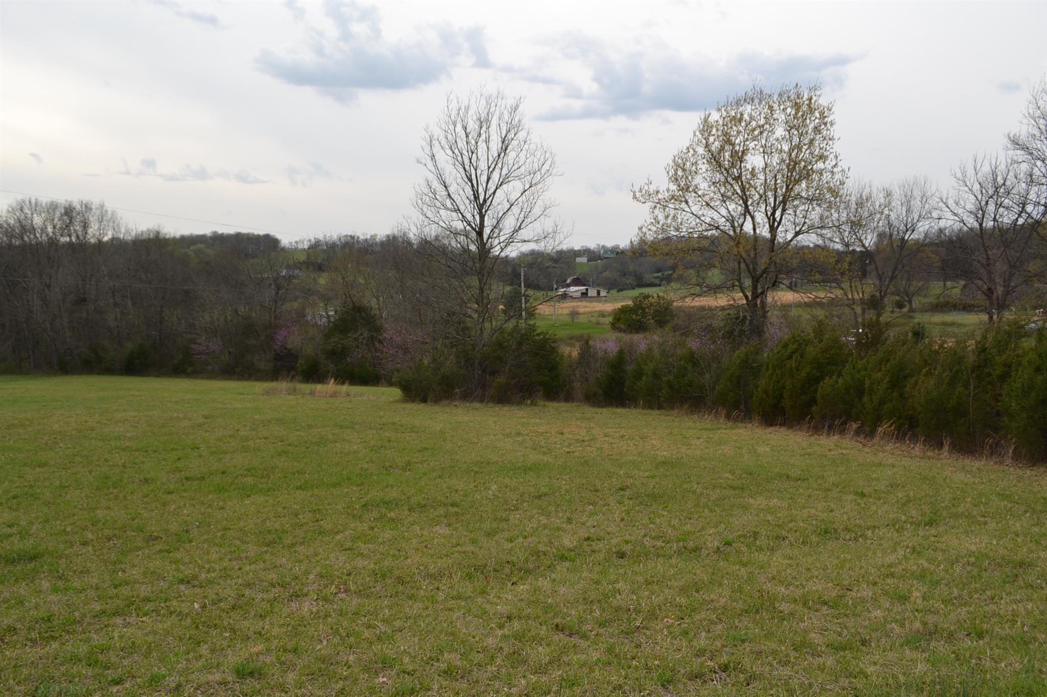 0 Beach Bottom Road Watertown, TN 37184 - Photo 4 of 4 a view of a lake