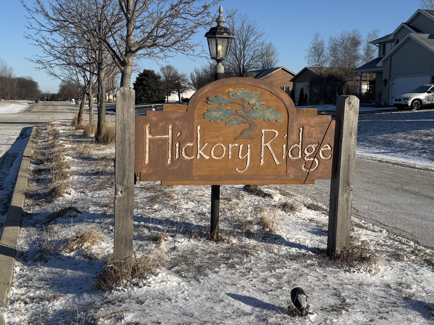 104 Kyle Lane Kirkland, IL 60146 - Photo 3 of 3