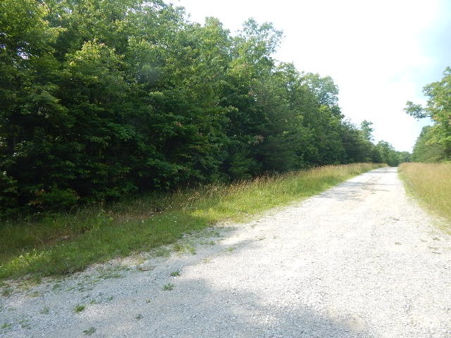 0 4th Drive Altamont, TN 37301 - Photo 11 of 16