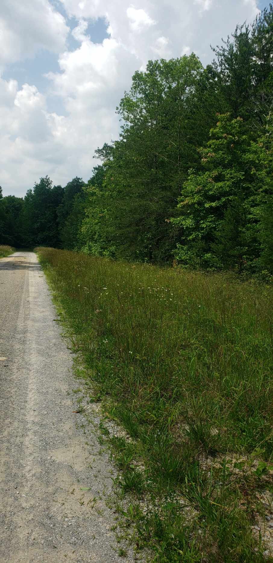 0 4th Drive Altamont, TN 37301 - Photo 16 of 16