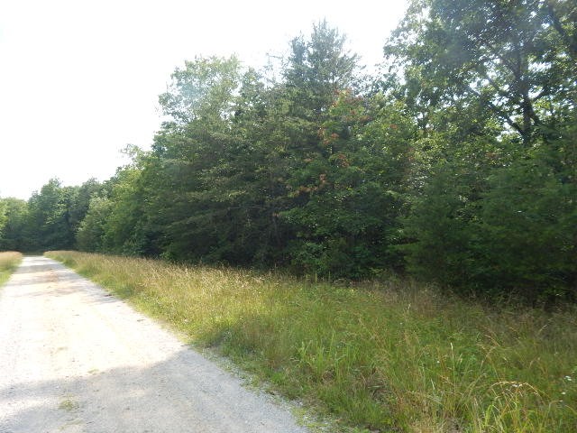 0 4th Drive Altamont, TN 37301 - Photo 4 of 16