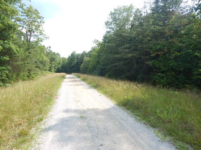 0 4th Drive Altamont, TN 37301 - Photo 5 of 16