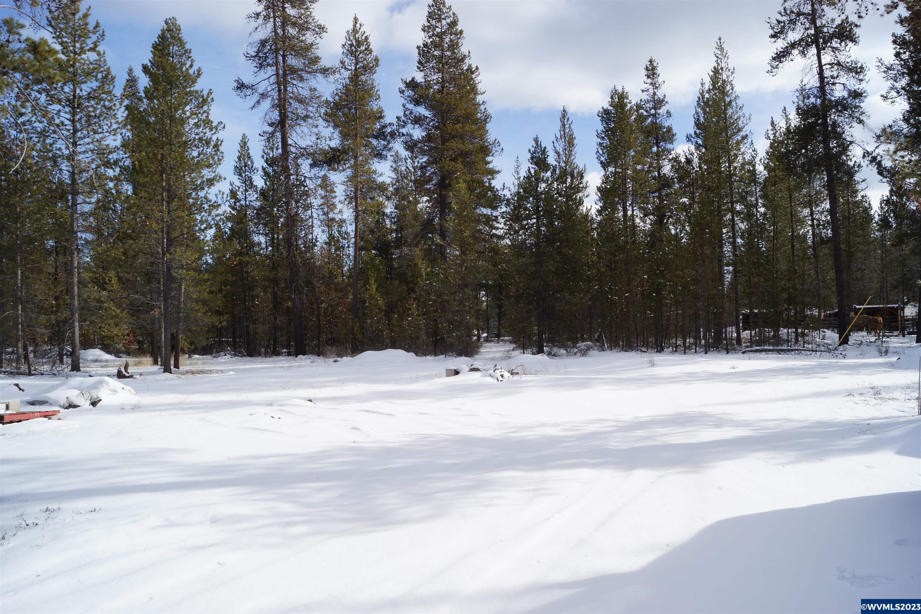 16695 Burgess Road La Pine, OR 97739 - Photo 12 of 38 Gallery Image 12