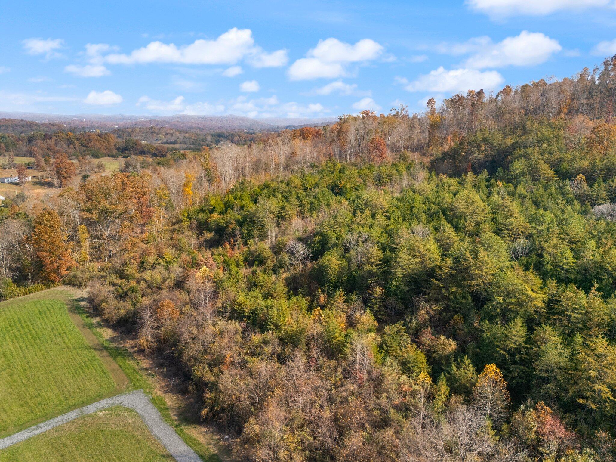 0 Flynn Road Bronston, KY 42518 - Photo 10 of 21 3-web-or-mls-DJI_20241029144621_0201_D