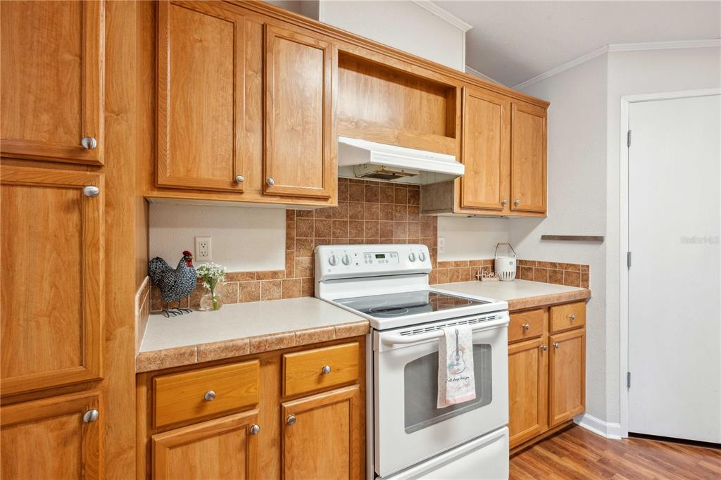 3319 Fox Ridge Boulevard Wesley Chapel, FL 33543 - Photo 18 of 50 a kitchen with stainless steel appliances granite countertop a sink a stove and cabinets