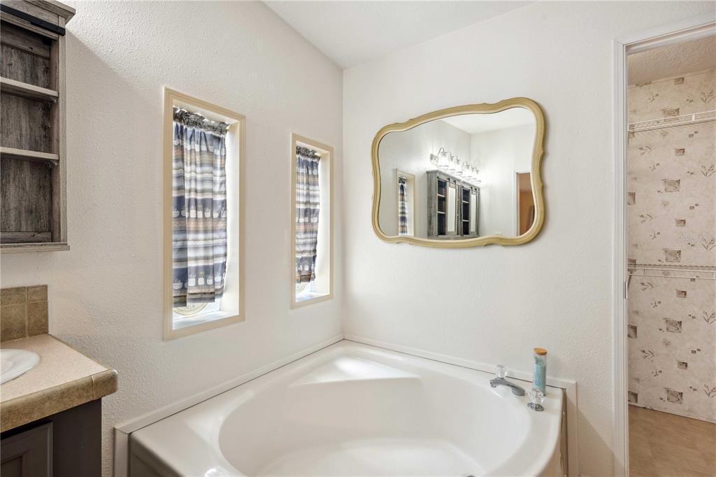 3319 Fox Ridge Boulevard Wesley Chapel, FL 33543 - Photo 33 of 50 a bathroom with a sink a mirror and a bathtub