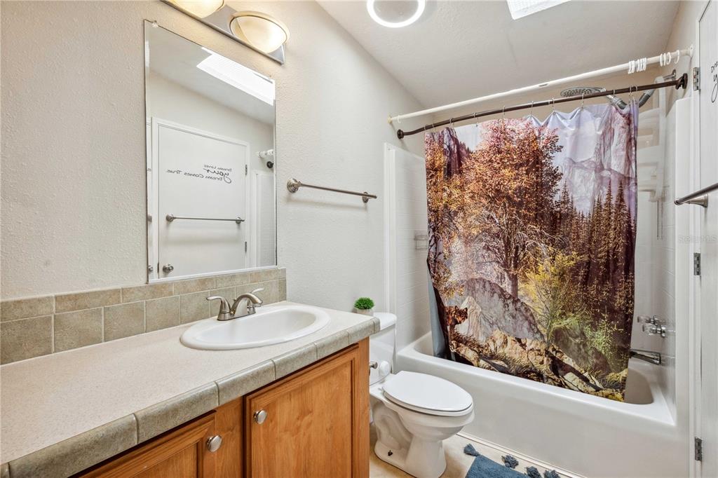 3319 Fox Ridge Boulevard Wesley Chapel, FL 33543 - Photo 36 of 50 a bathroom with a sink toilet and shower