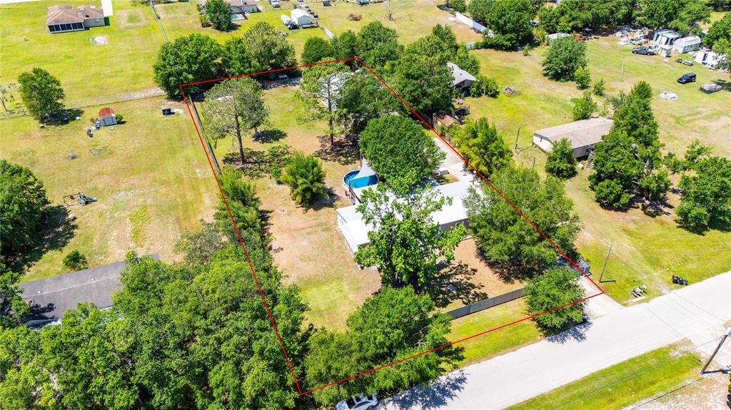 3319 Fox Ridge Boulevard Wesley Chapel, FL 33543 - Photo 4 of 50 a view of a tree with a yard