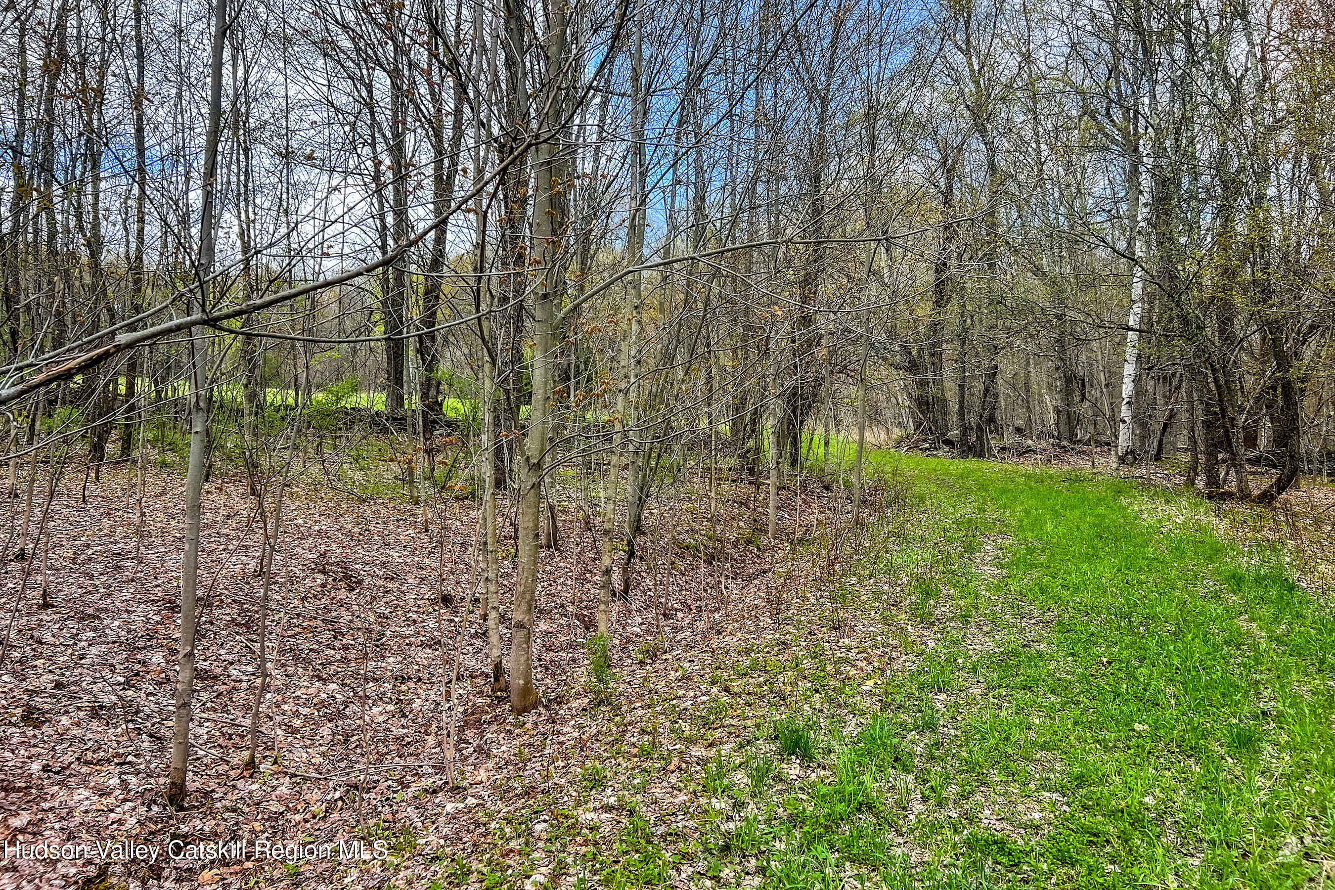 0 Brownell Road Bloomville, NY 13739 - Photo 7 of 39 23 acres Brownell Rd -- 005