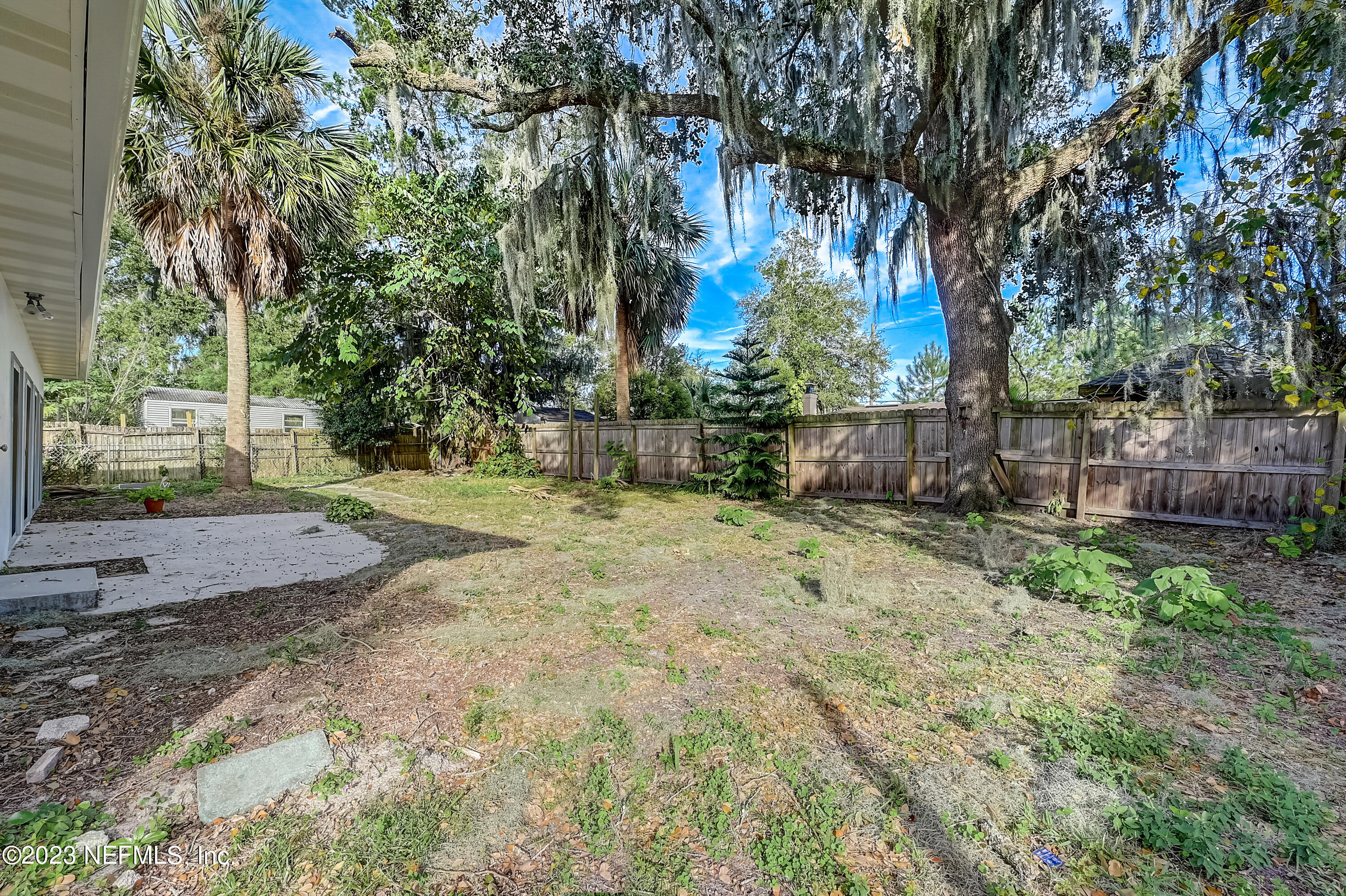 6105 Duke Road Jacksonville, FL 32217 - Photo 28 of 29 a view of backyard with tree