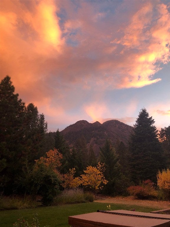 631 Skyview Road Mount Shasta, CA 96067 - Photo 29 of 50 Gallery Image 29