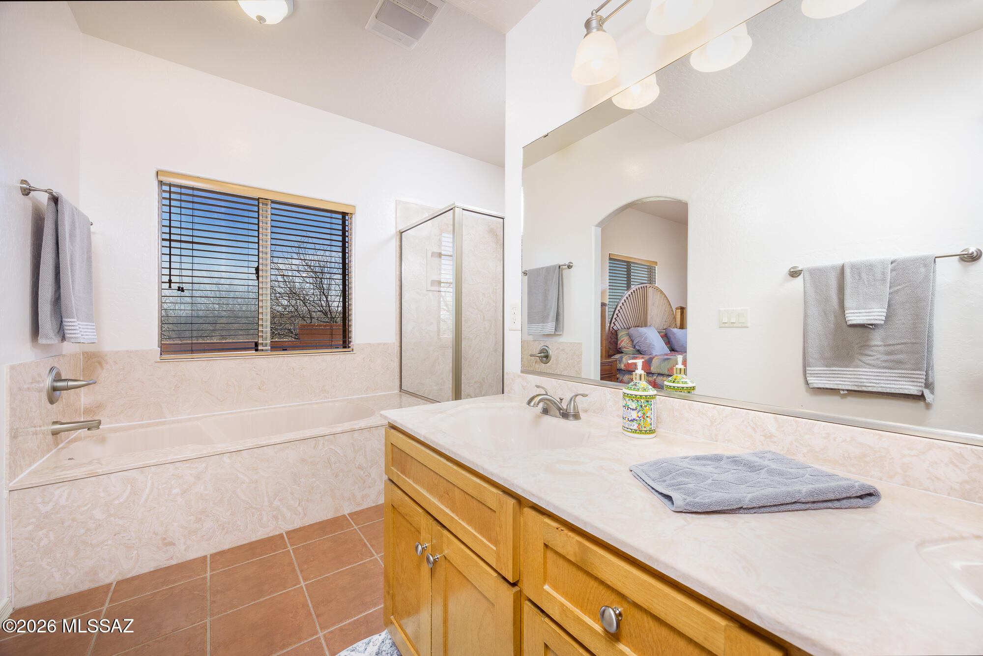 3203 West Thunder Pass Road Benson, AZ 85602 - Photo 14 of 35 Primary bath