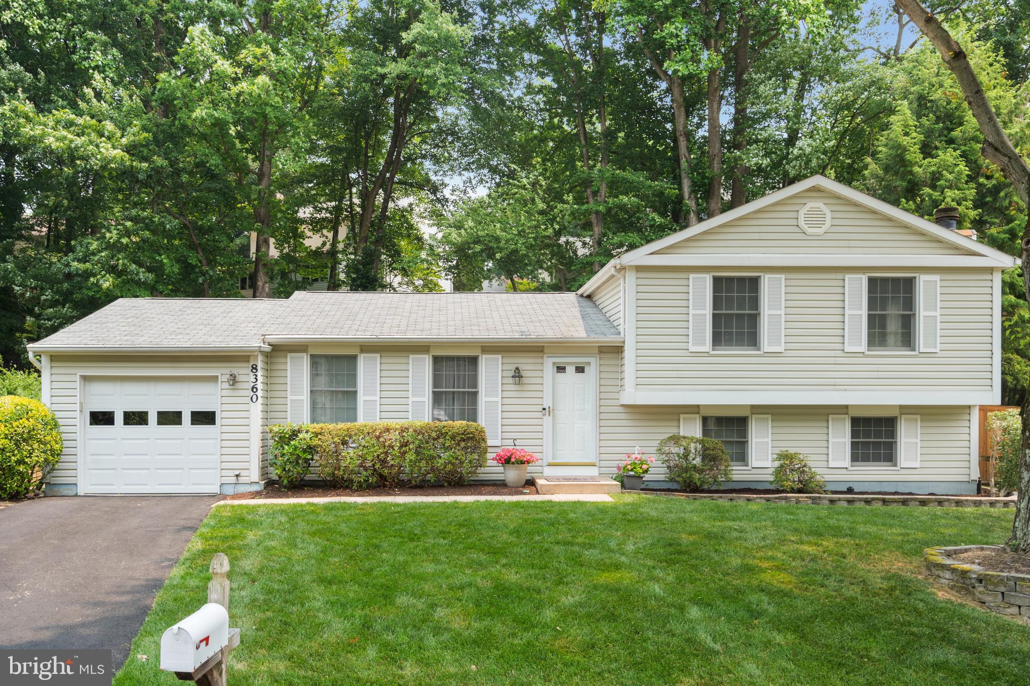 8360 Magic Leaf Road Springfield, VA 22153 - Photo 1 of 32 Gallery Image 1