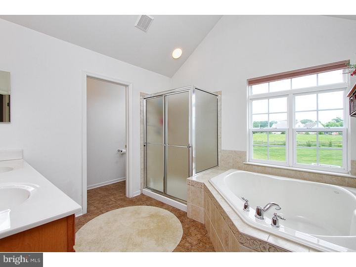 160 Prairie View Lane Mickleton, NJ 08056 - Photo 15 of 20 a bathroom with a tub a sink and a large window