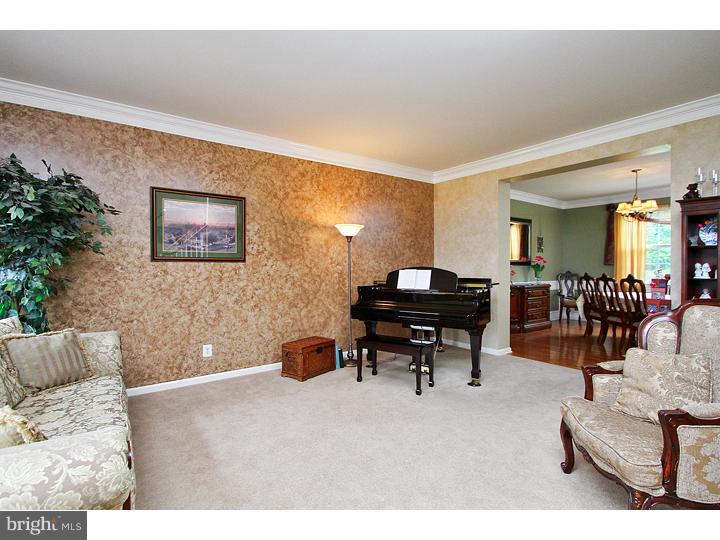 160 Prairie View Lane Mickleton, NJ 08056 - Photo 5 of 20 a living room with furniture a piano and a potted plant