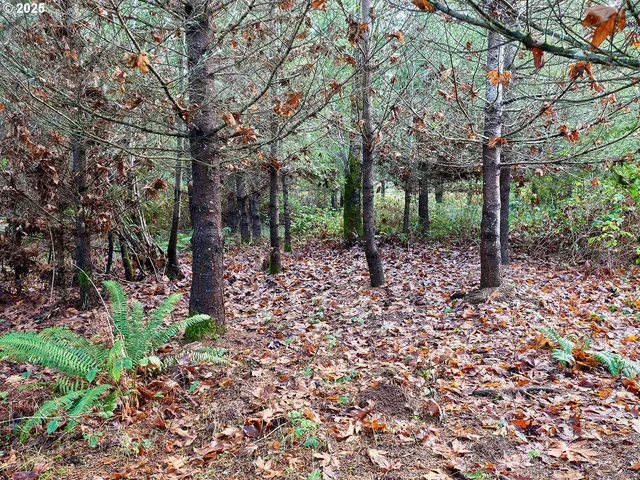 $260,000 | 35517 South Aqua Springs Road, Molalla, OR 97038