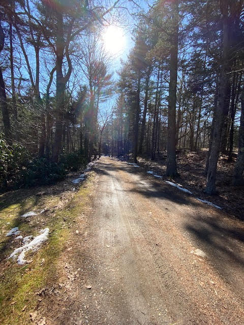141 West Georgetown Road Georgetown, ME 04548 - Photo 7 of 68 Driveway