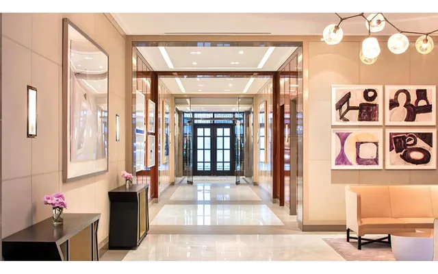 a view of a living room and a potted plant