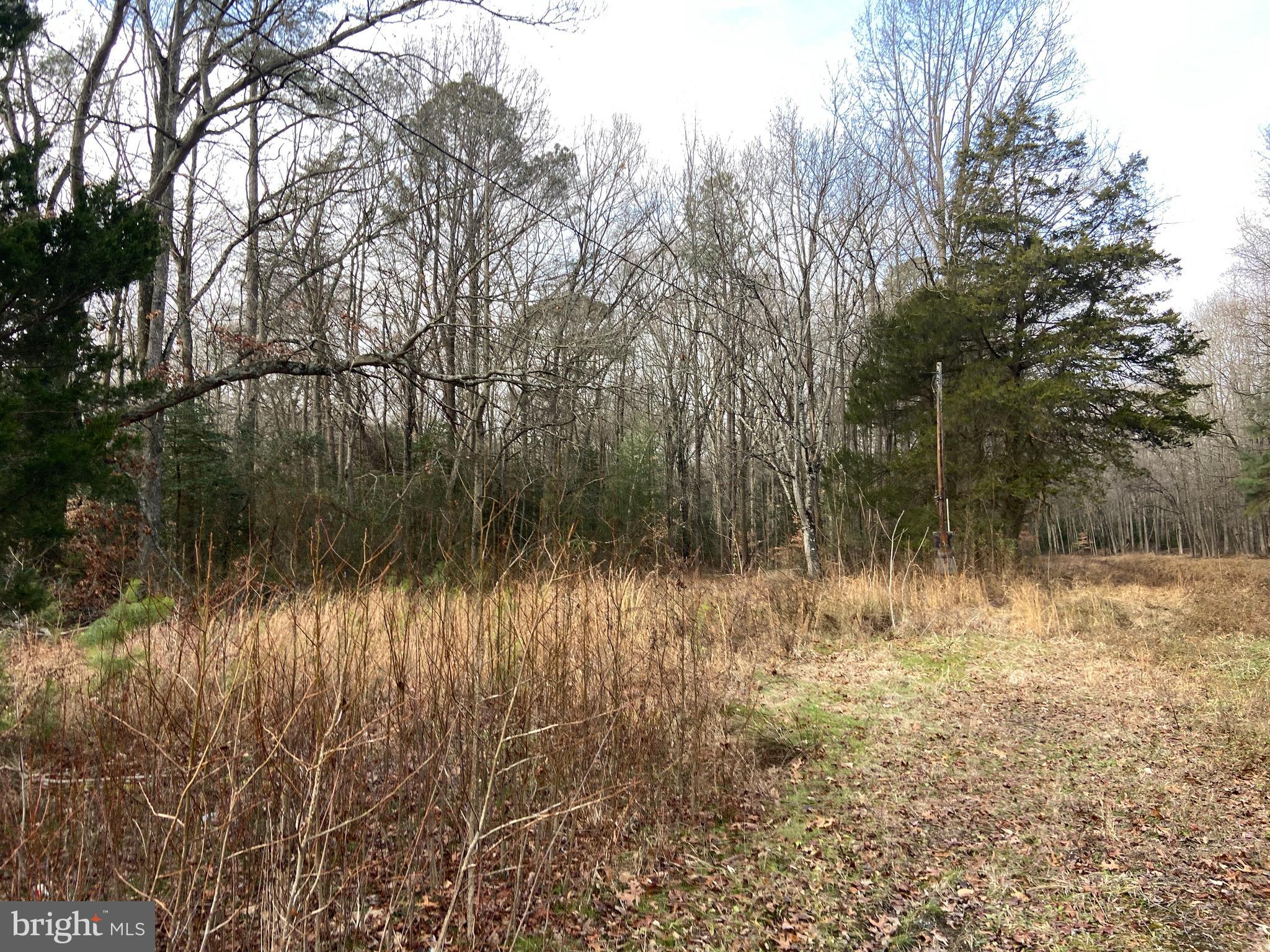727 Westville Road Marydel, DE 19964 - Photo 5 of 5 a view of a lake with a yard