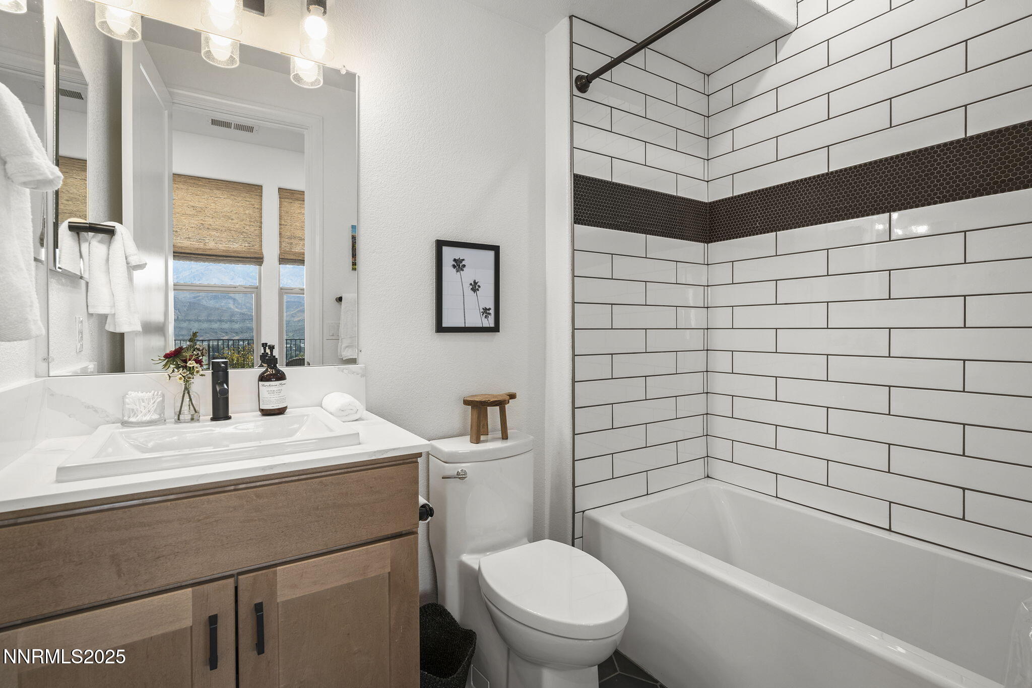 480 Gooseberry Drive Reno, NV 89523 - Photo 36 of 48 a bathroom with a sink a toilet and shower