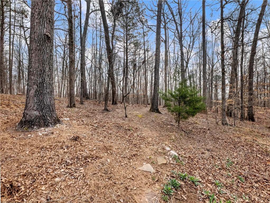 6147 Golf View Court Jefferson, GA 30549 - Photo 55 of 73 a backyard of a house with lots of green space