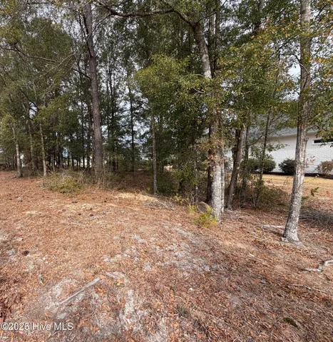 $239,000 | 2580 East Timber Crest Drive Northeast, Leland, NC 28451