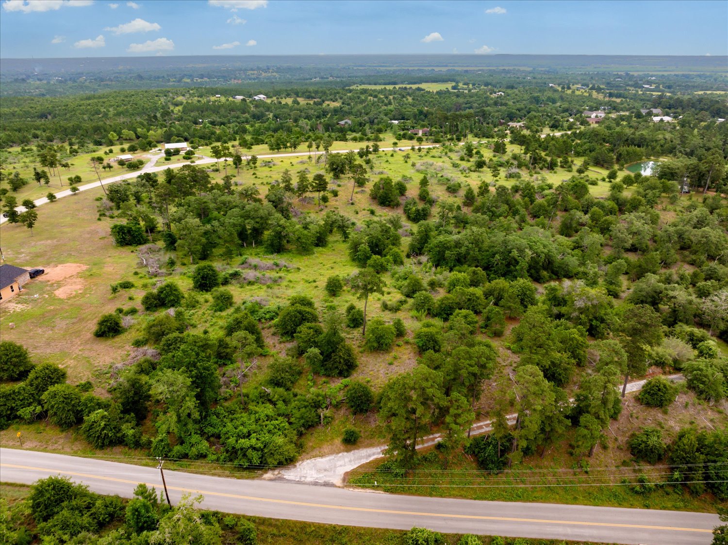 0 McAllister Road Bastrop, TX 78602 - Photo 9 of 12 A verdant landscape provides a blank canvas for your dream estate, bordered by a quiet paved road.