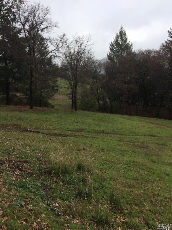 10500 Laytonville Dos Rios Road Dos Rios, CA 95429 - Photo 1 of 1 a view of a field with trees